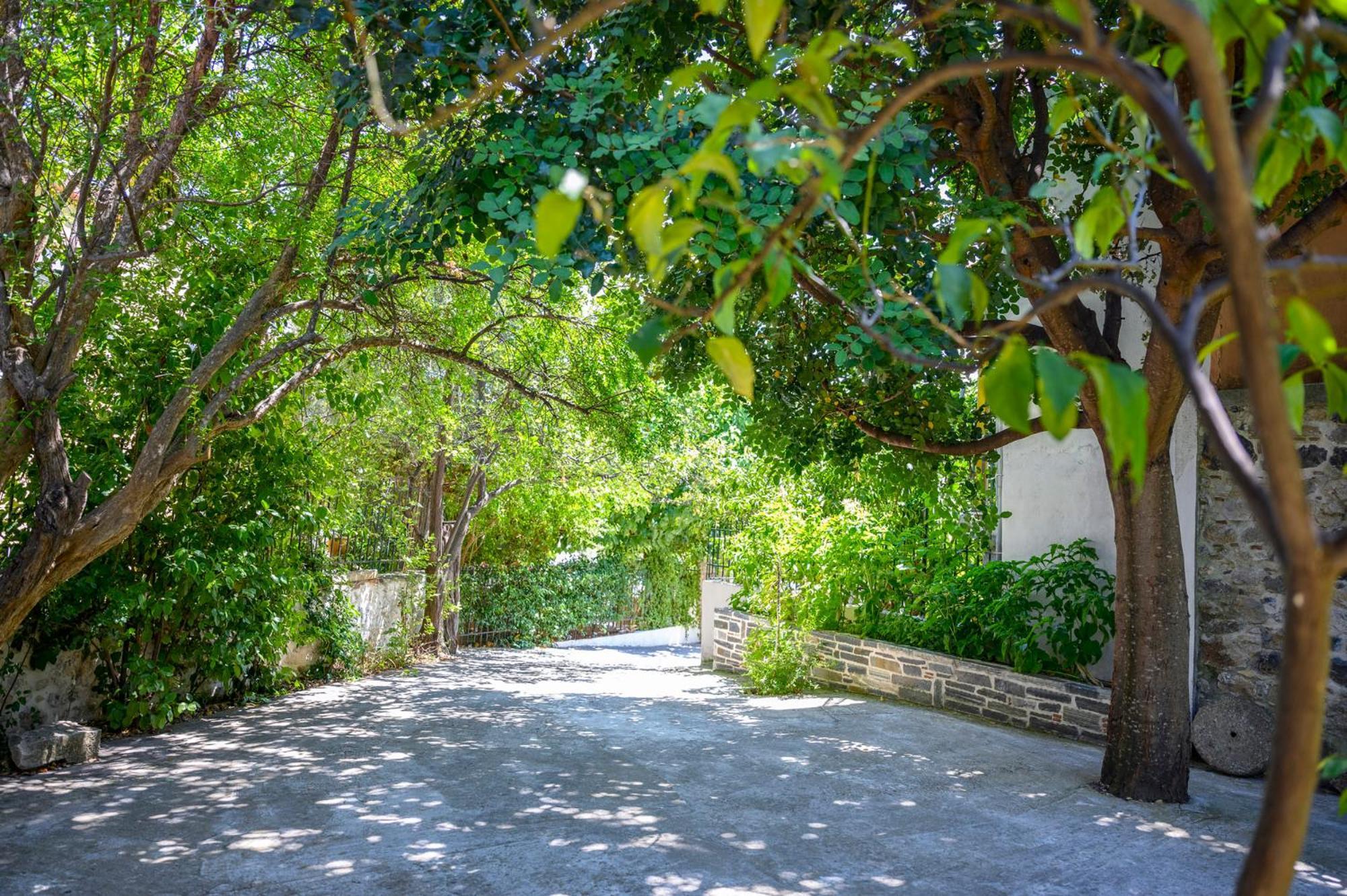 Small Villa Gerani Agios Vlasios  Exteriér fotografie